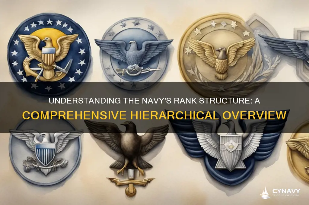 what are the ranks in the navy in order