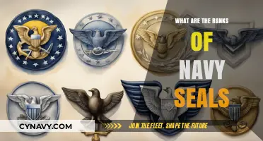 Decoding the Elite: Understanding the Ranks of Navy SEALs
