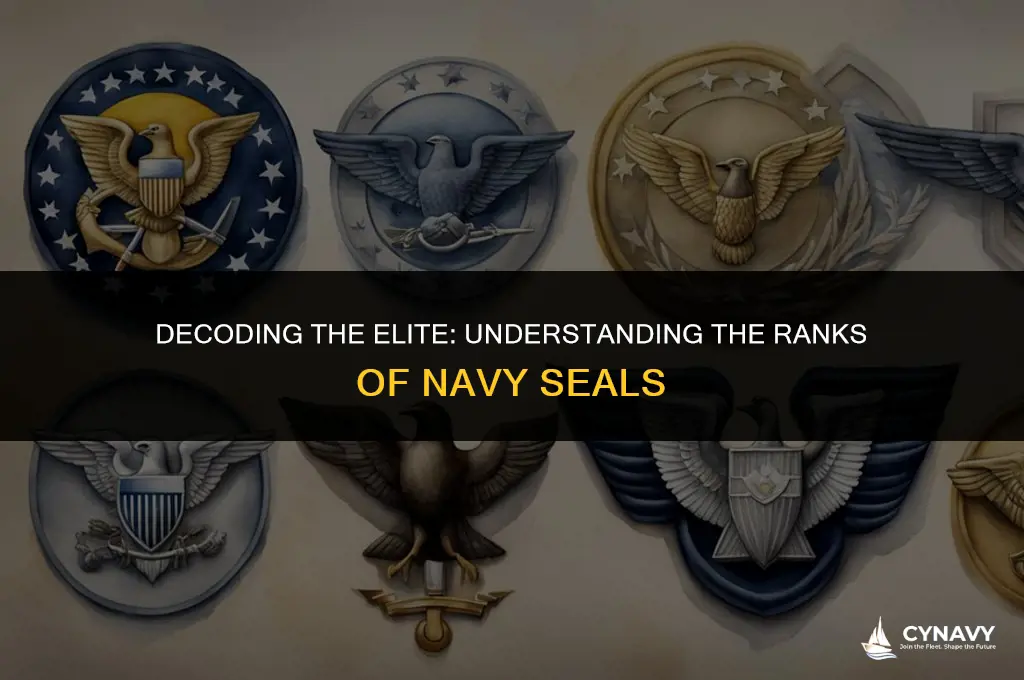 what are the ranks of navy seals