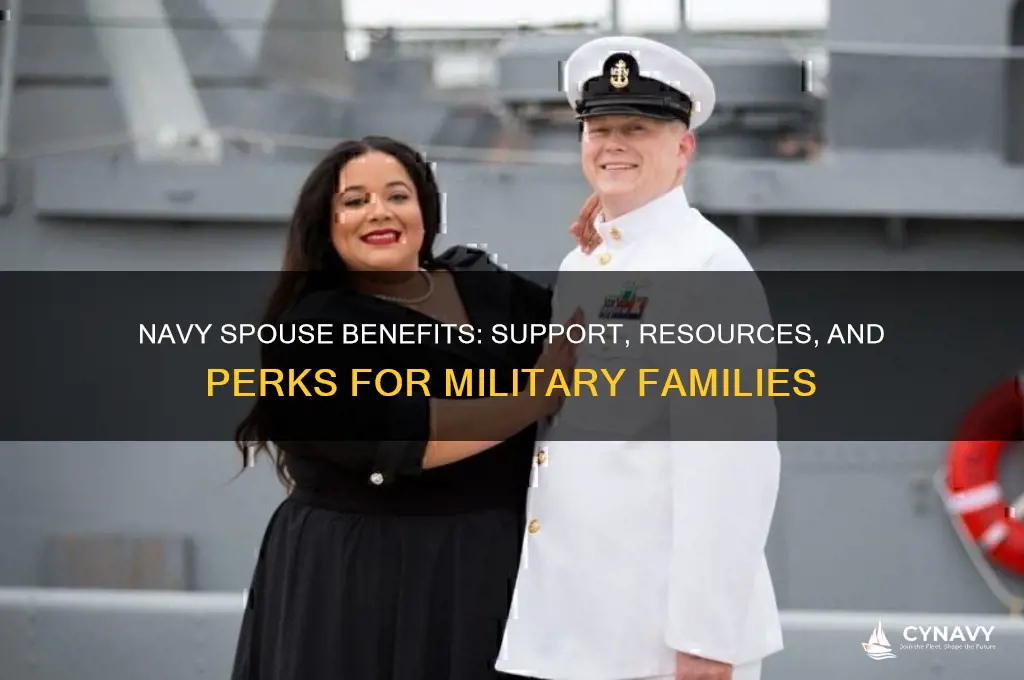 what benefits do navy spouses get