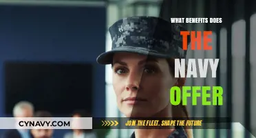 Unlocking Opportunities: The Advantages of a Navy Career