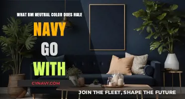 Hale Navy's Perfect Match: Discovering the Ideal BM Neutral Color
