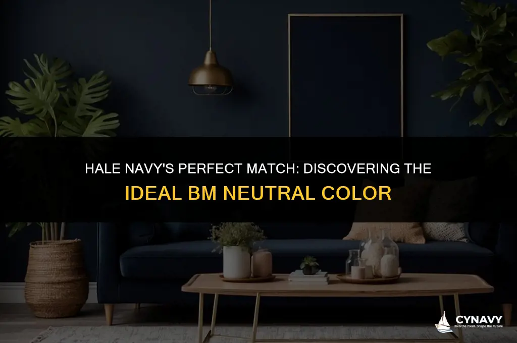 what bm neutral color does hale navy go with