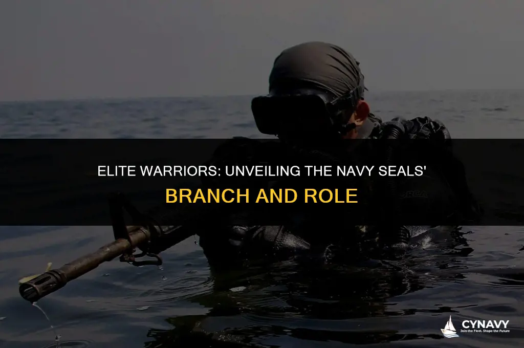 what branch are the navy seals
