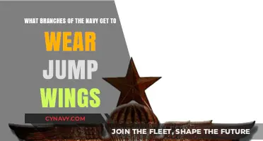Which Navy Branches Earn Jump Wings: A Comprehensive Guide