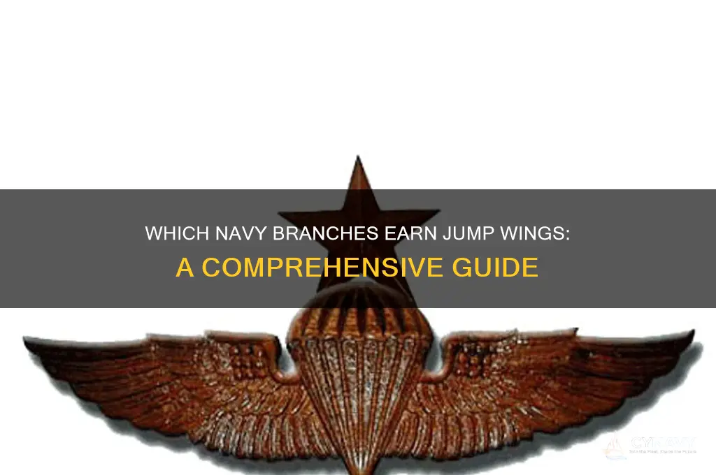 what branches of the navy get to wear jump wings