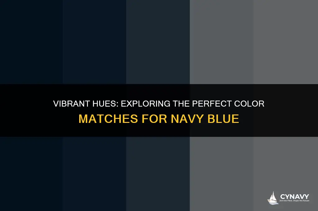 what bright colors go with navy blue