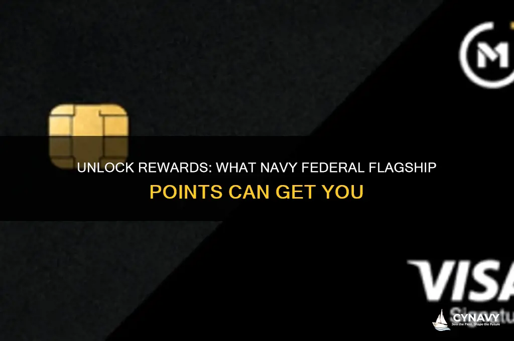 what can navy federal flagship points get