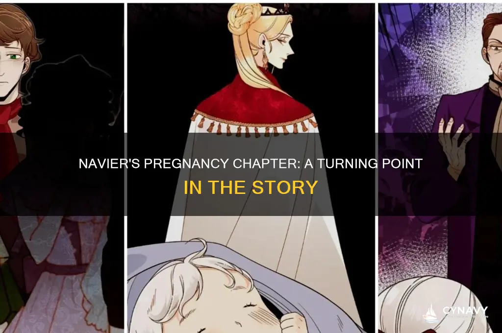 what chapter does navier get pregnant