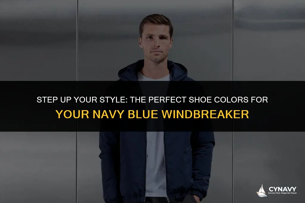 what color ahoes to wear with navy blue windauit