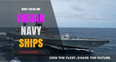 Exploring the Distinctive Hues of Indian Naval Vessels