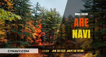 Exploring the Enigmatic Hues of Navi: A Deep Dive into Their Colorful World