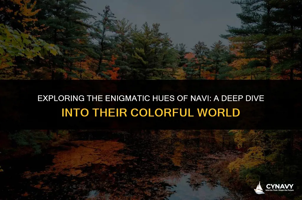 what color are navi