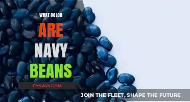 Unveiling the True Hue: Are Navy Beans Really Navy?