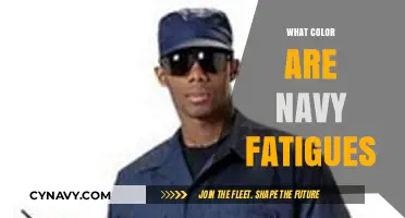 Decoding the Shade: What Color Are Navy Fatigues?