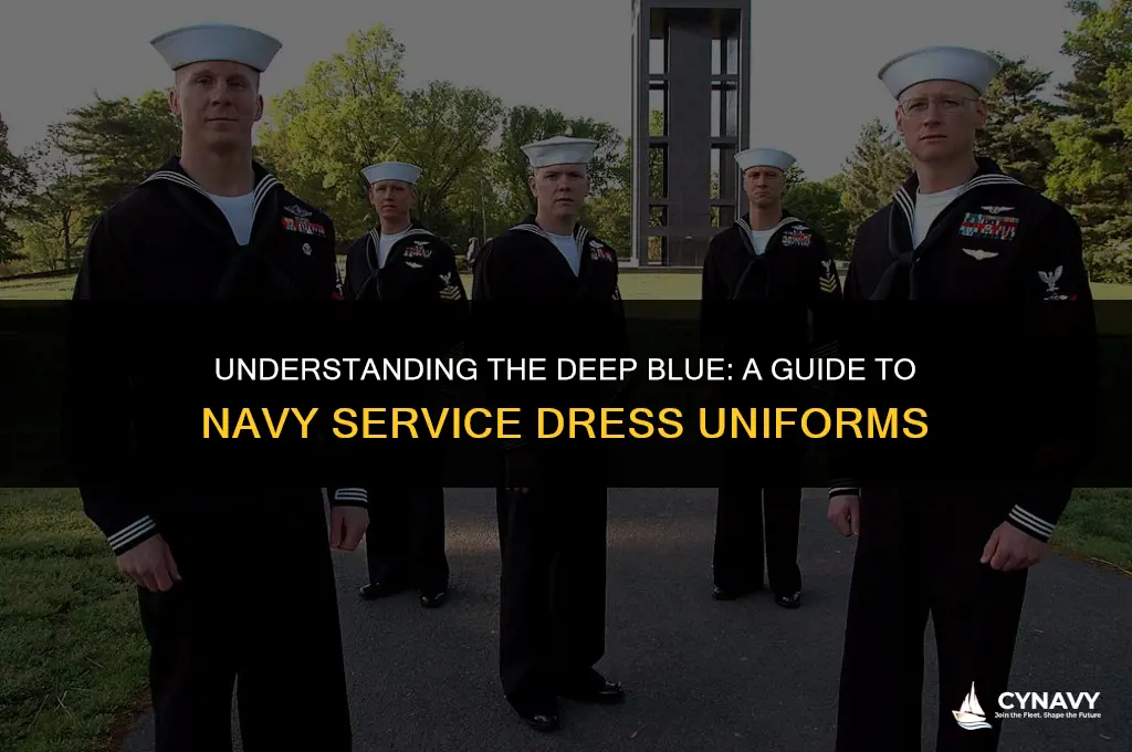 what color are navy service dress blues