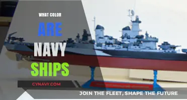Exploring the Depths: The Intriguing Colors of Navy Ships