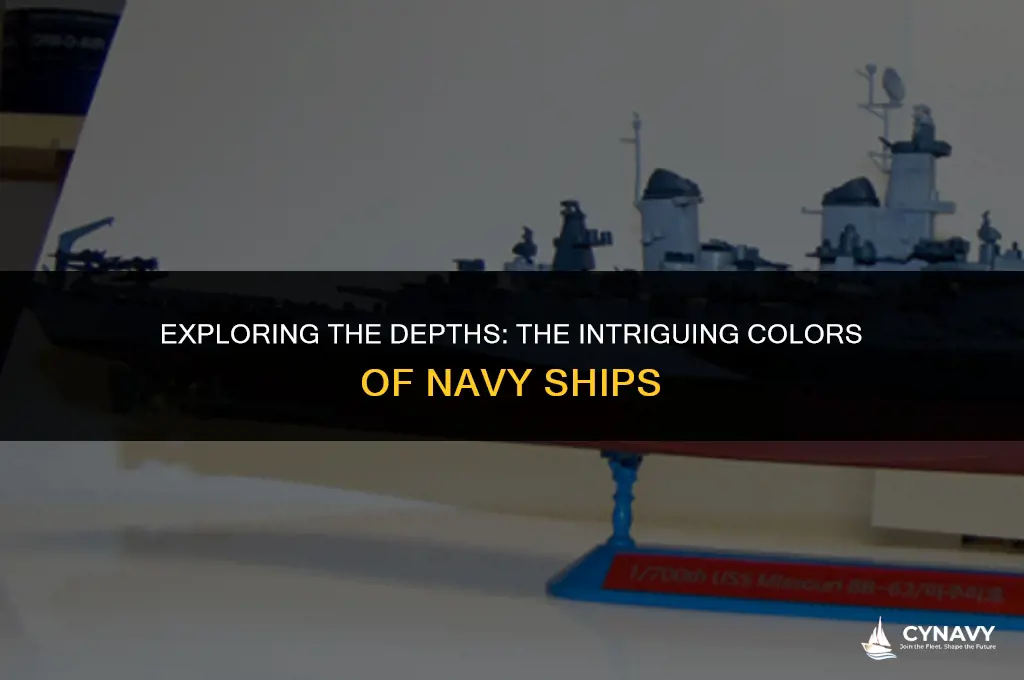 what color are navy ships