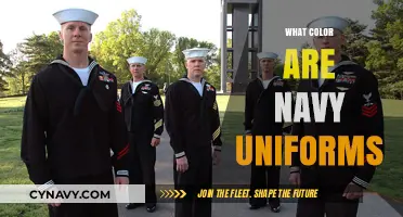 Exploring the Depths: A Guide to Navy Uniform Colors
