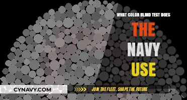 Exploring the Navy's Color Vision Screening: A Comprehensive Guide
