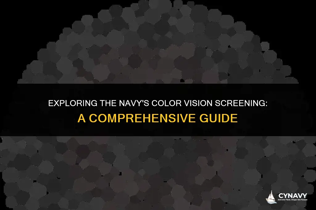 what color blind test does the navy use