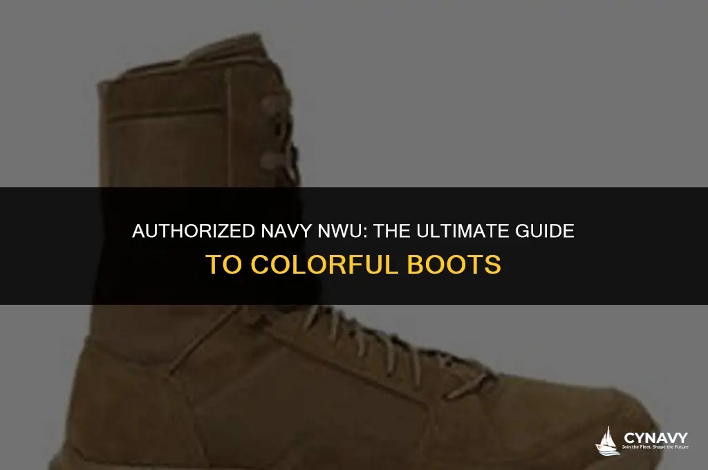 what color boots are autherized navy nwu