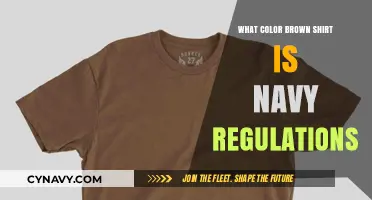 Decoding Navy Regulations: The Perfect Shade of Brown Shirt