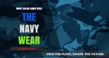 Stealth at Sea: Unveiling the Navy's Camouflage Palette
