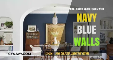 Elevate Your Space: The Perfect Carpet Colors for Navy Blue Walls