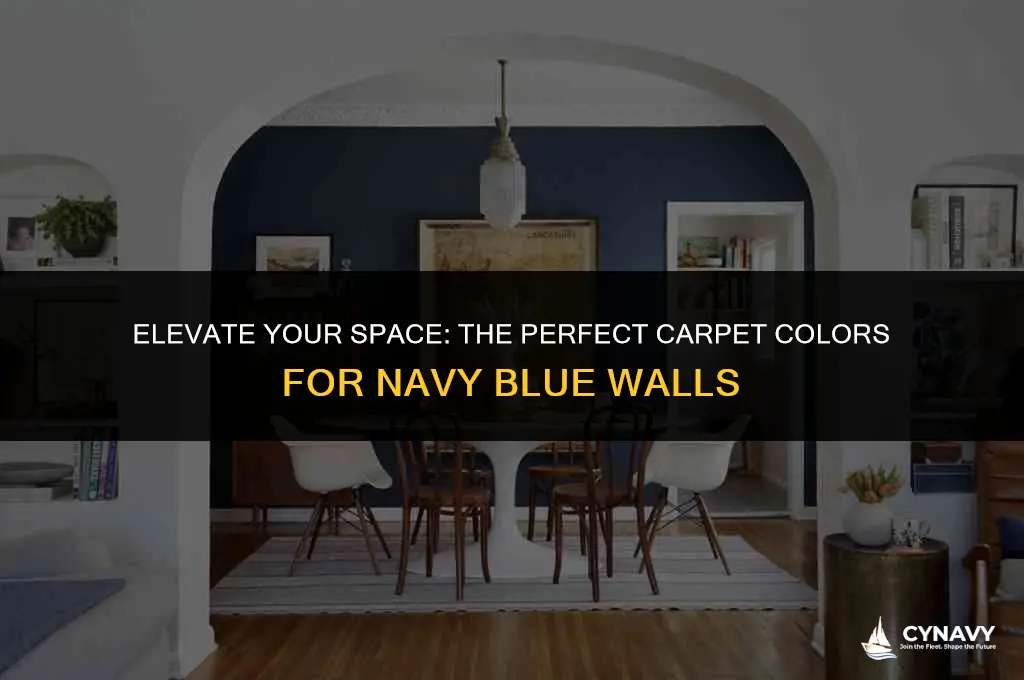 what color carpet goes with navy blue walls