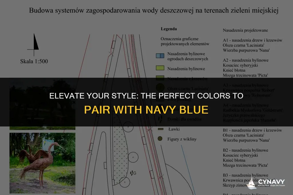 what color coordinates with navy blue