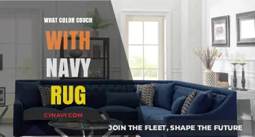 Elevate Your Living Room: The Perfect Couch Color for a Navy Rug
