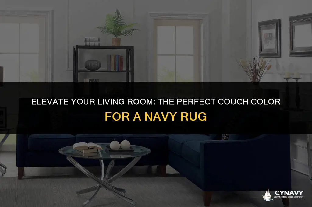 what color couch with navy rug