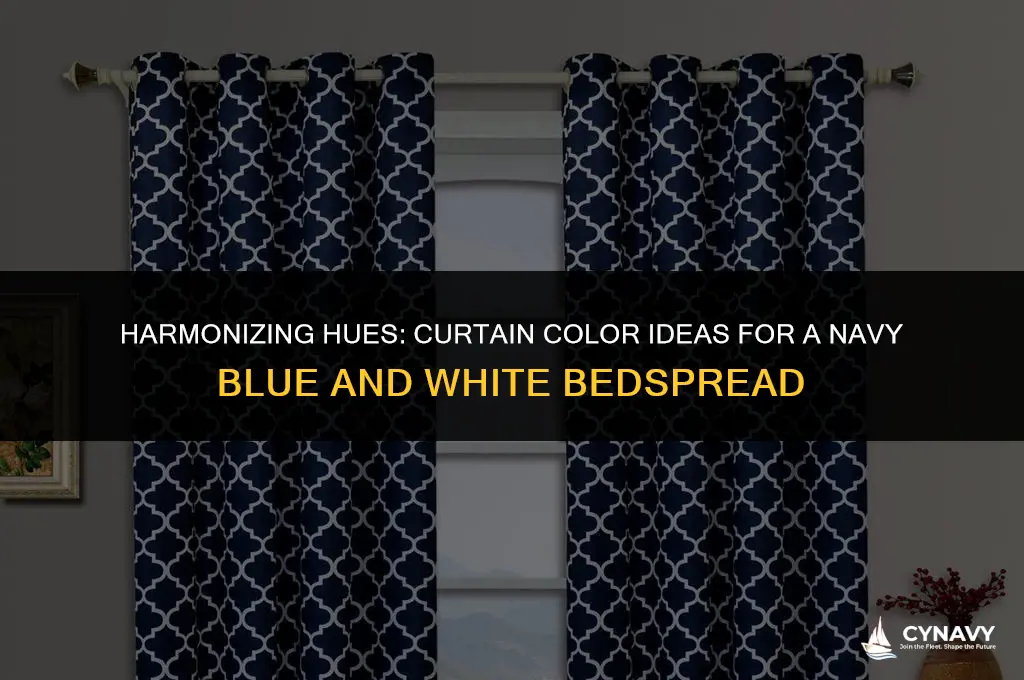 what color curtains with navy blue and white bedspread