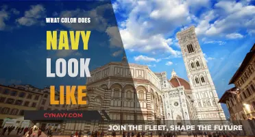 Exploring the Depths of Navy: A Visual Journey Through Dark Blue Hues