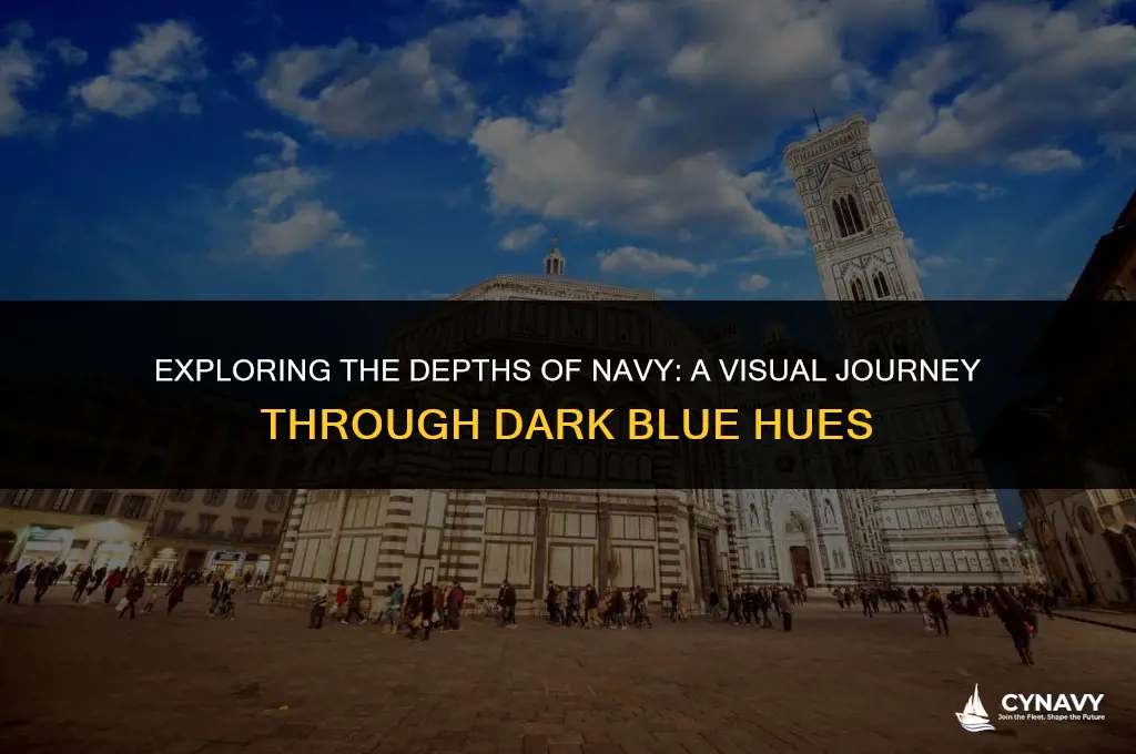 what color does navy look like