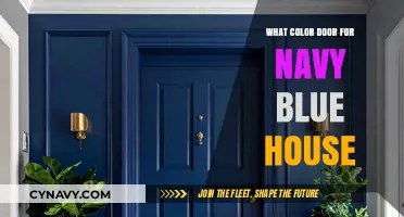 Elevate Your Home's Curb Appeal: The Perfect Door Color for a Navy Blue House
