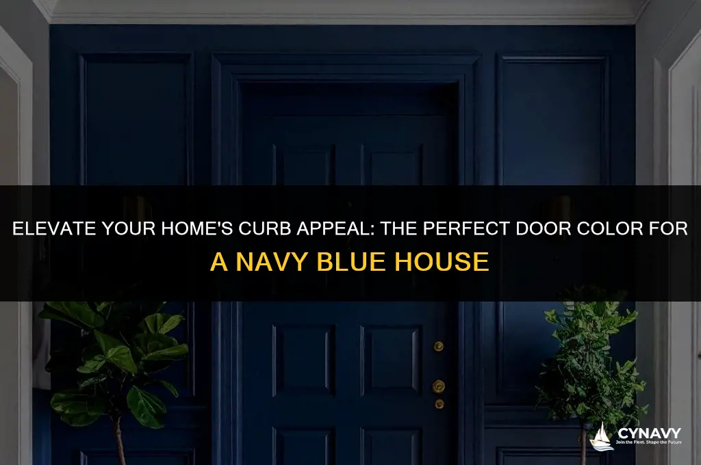 what color door for navy blue house