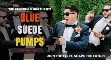 Elevate Your Style: Perfect Dress Matches for Navy Blue Suede Pumps