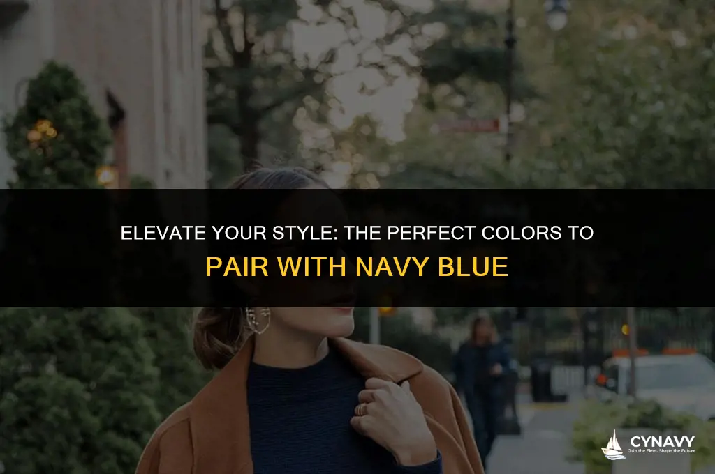 what color fits navy blue