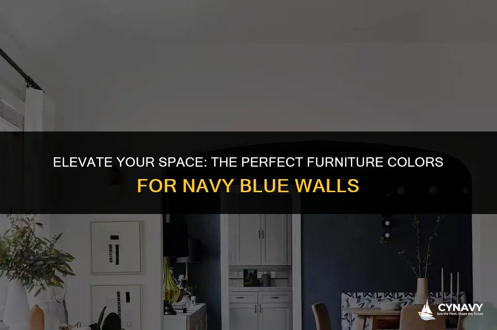 what color furniture goes with navy blue walls