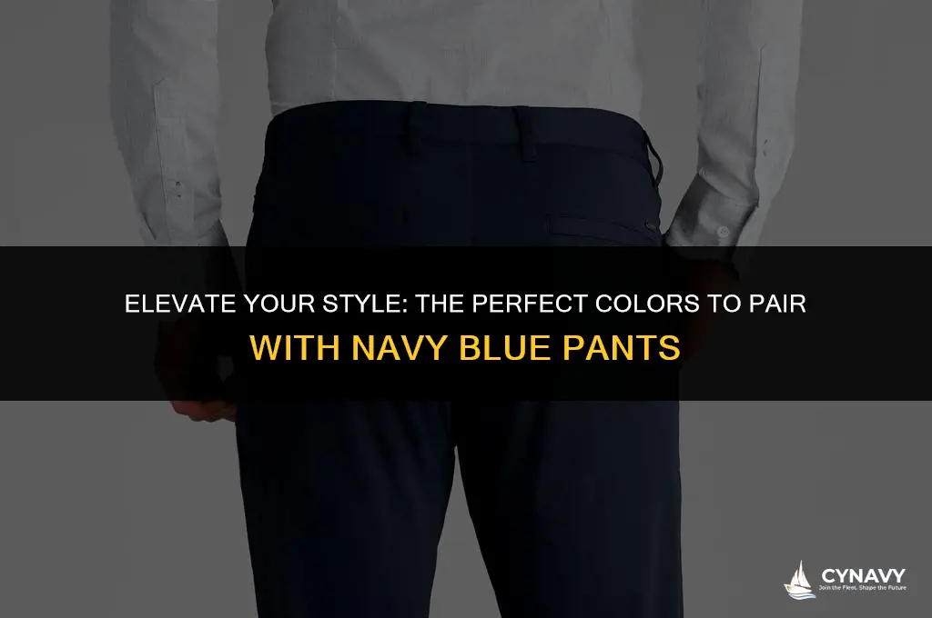 what color goes well with navy blue pants