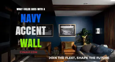 Elevate Your Space: The Perfect Color Companions for a Navy Accent Wall