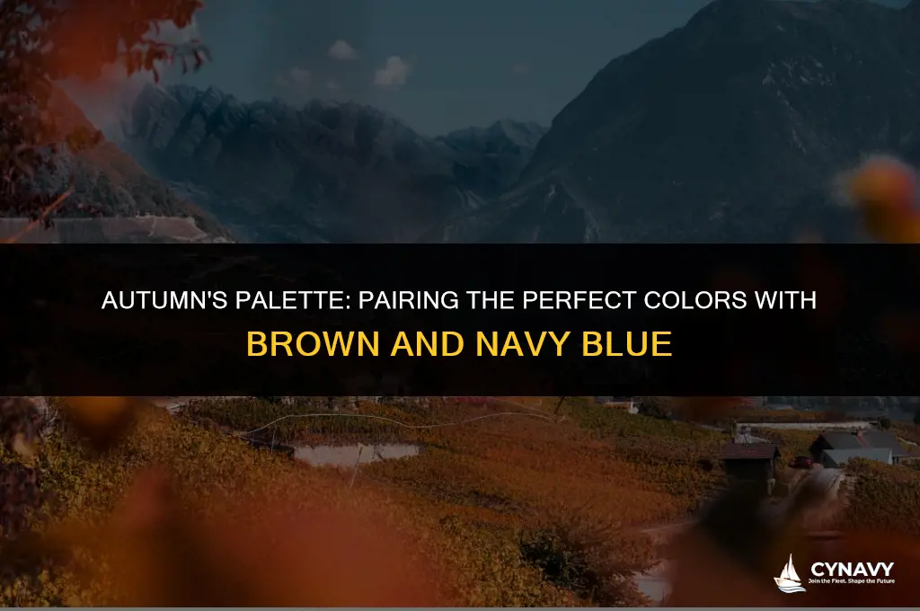 what color goes with autuam brown and navy blue