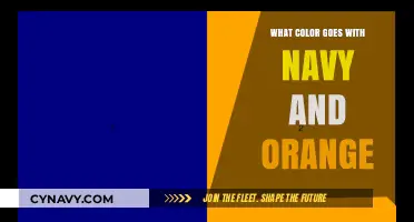 Harmonious Hues: Navy and Orange's Perfect Color Companions