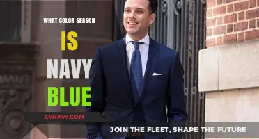 Exploring the Depths of Style: Navy Blue's Seasonal Versatility