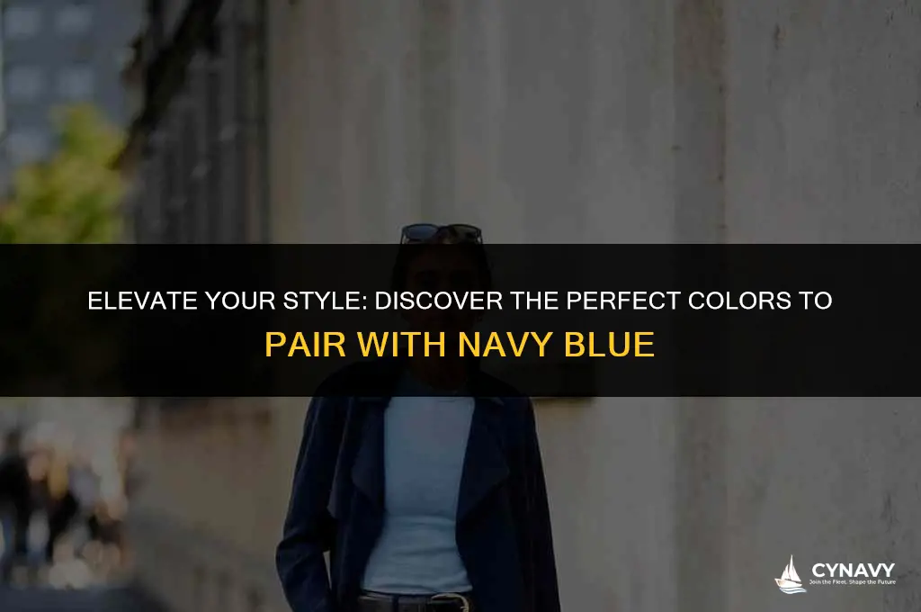 what colors complement navy blue