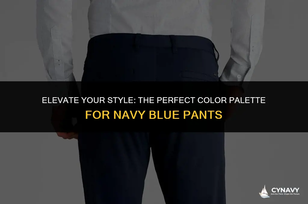 what colors go good with navy blue pants