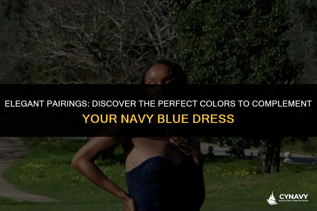 what colors go with navy blue dress