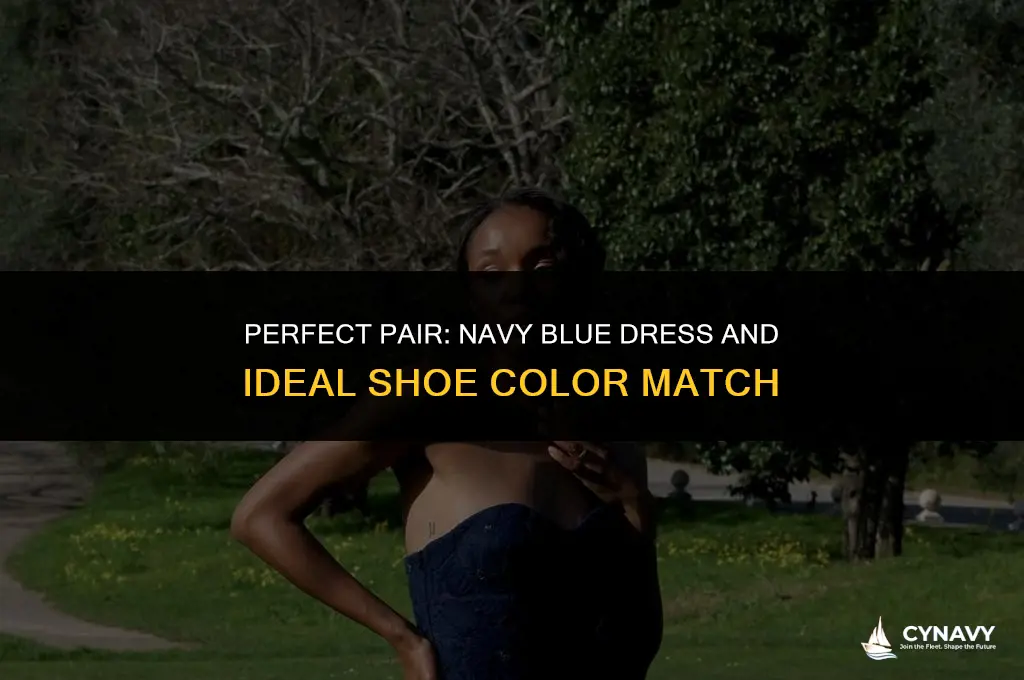 what colour shoes go with a navy blue dress